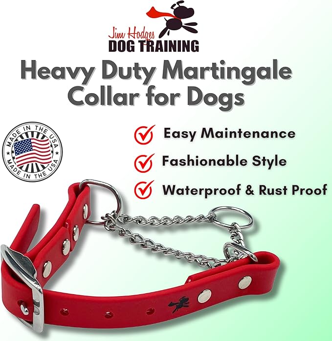 Martingale Collar for Dogs, Biothane, Stainless Steel Hardware, No Pull, Made in The USA, Professional Grade, Large, Red