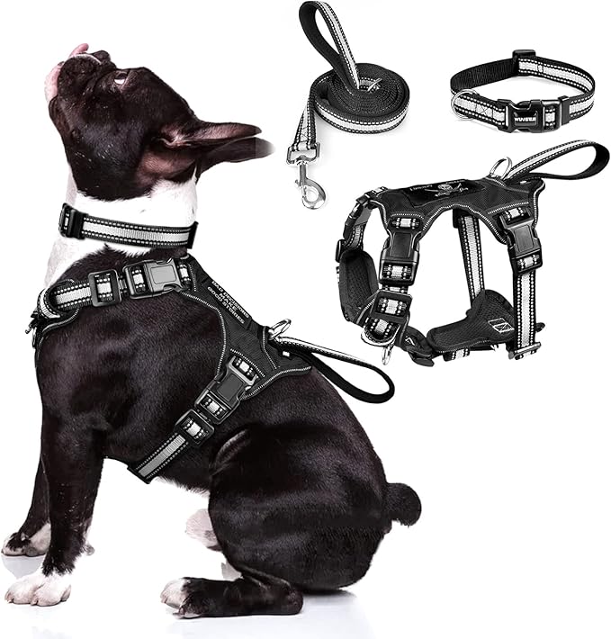 WINSEE Pet Harness Collar and Leash Set, All-in-one Reflective Dog Harness No Pull with Adjustable Buckles for Puppies, Small, Medium, Large, and Extra-Large Dogs (Medium, Black)