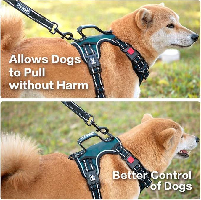 PoyPet No Pull Dog Harness, No Choke Front Clip Reflective Dog Vest with Soft Padded Vertical Handle, 3 Leash Attachments for Small Medium Large Dogs (Tumalo Teal,L)