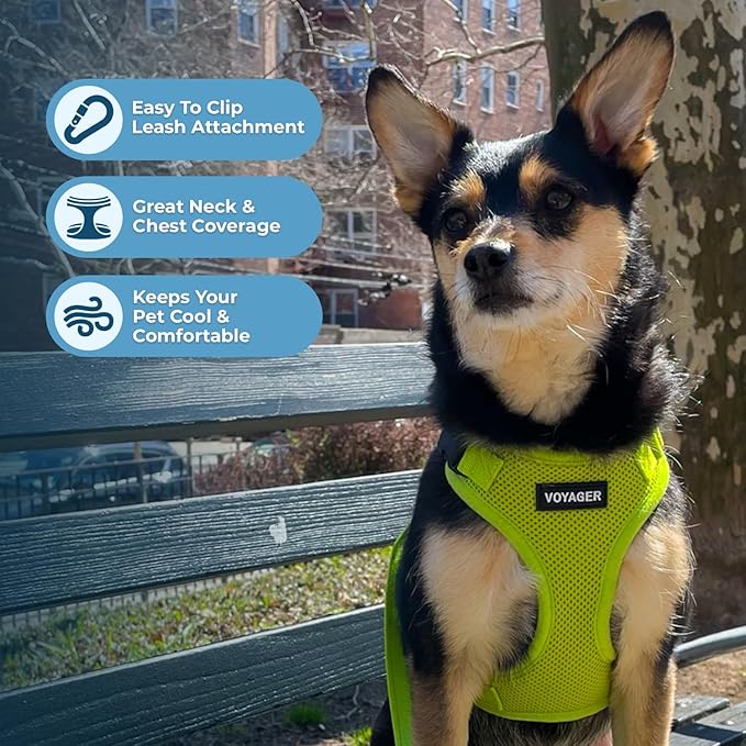 Voyager Step-in Lock Pet Harness - All Weather Mesh, Adjustable Step in Harness for Cats and Dogs by Best Pet Supplies - Lime Green, S