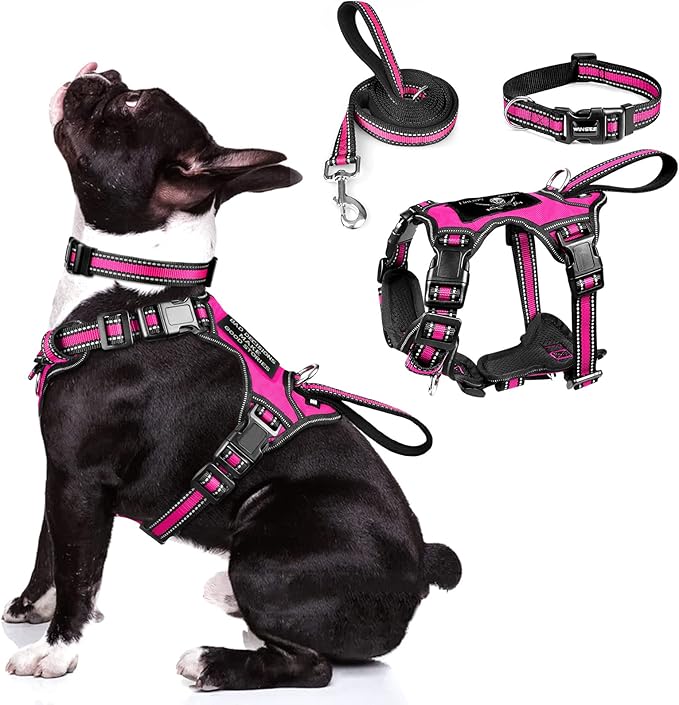 WINSEE Pet Harness Collar and Leash Set, All-in-one Reflective Dog Harness No Pull with Adjustable Buckles for Puppies, Small, Medium, Large, and Extra-Large Dogs (Medium, Rosy)