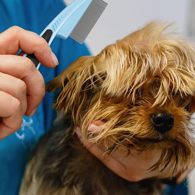 Fine Tooth Metal Comb for Removing Lice and Tear Stains, 2Pcs for Dogs, Cats, and Small Pets