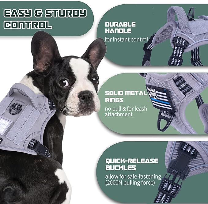BUMBIN Dog Harness, Tactical Harness for Large Dogs, XS Grey, No Pull with Dog Leash, Adjustable Reflective Pet Walking Vest, MOLLE System, Casual & Style