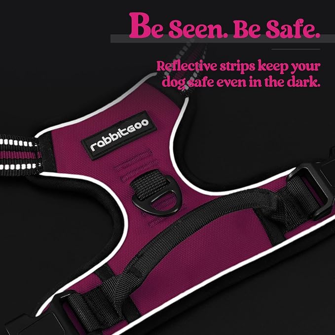 rabbitgoo Dog Harness, No-Pull Pet Harness with 2 Leash Clips, Adjustable Soft Padded Dog Vest, Reflective No-Choke Pet Oxford Vest with Easy Control Handle for Large Dogs, Hot Pink, XL