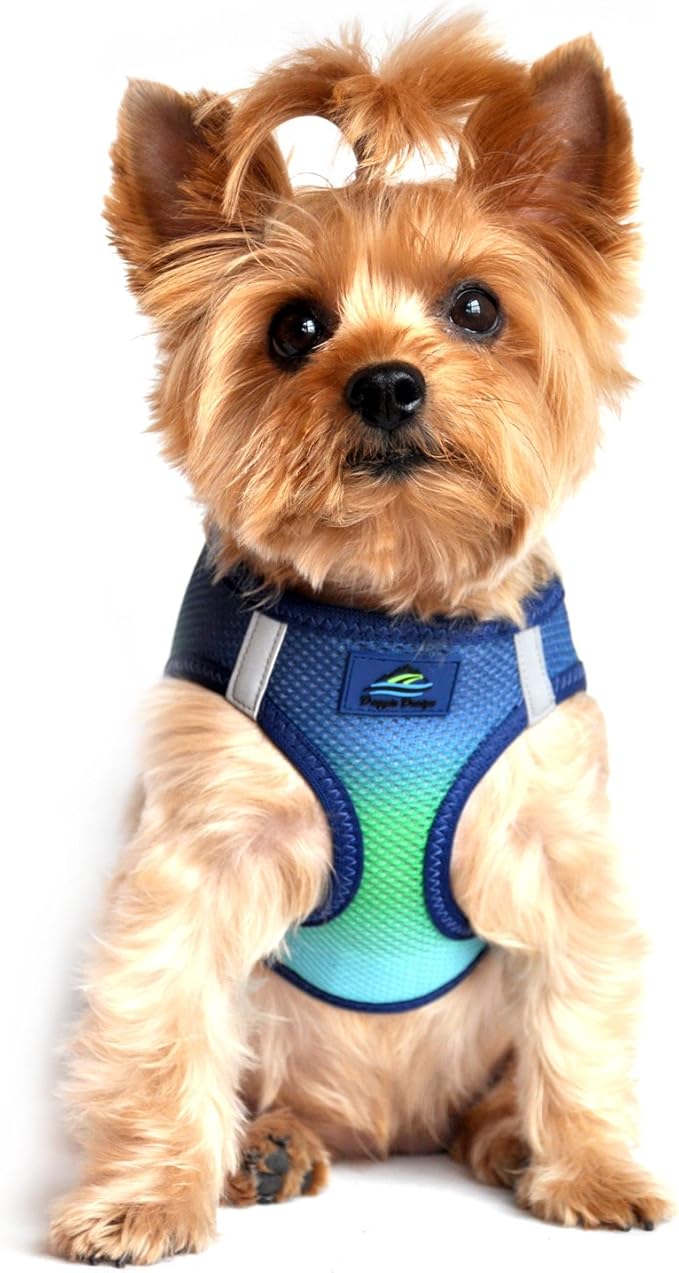 American River Choke-Free Dog Harness - Northern Lights Ombre