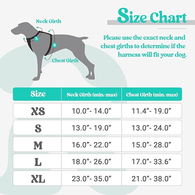 rabbitgoo Dog Harness, No-Pull Pet Harness with 2 Leash Clips, Adjustable Soft Padded Dog Vest, Reflective No-Choke Pet Oxford Vest with Easy Control Handle for Large Dogs, Black & Turquoise, L