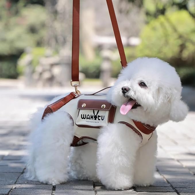 Dog Lift Harness Dog Carrier Dog VES Harness Adjustable Dog Leash with Small Puppy Treat Bag,Fits Most Cars,S
