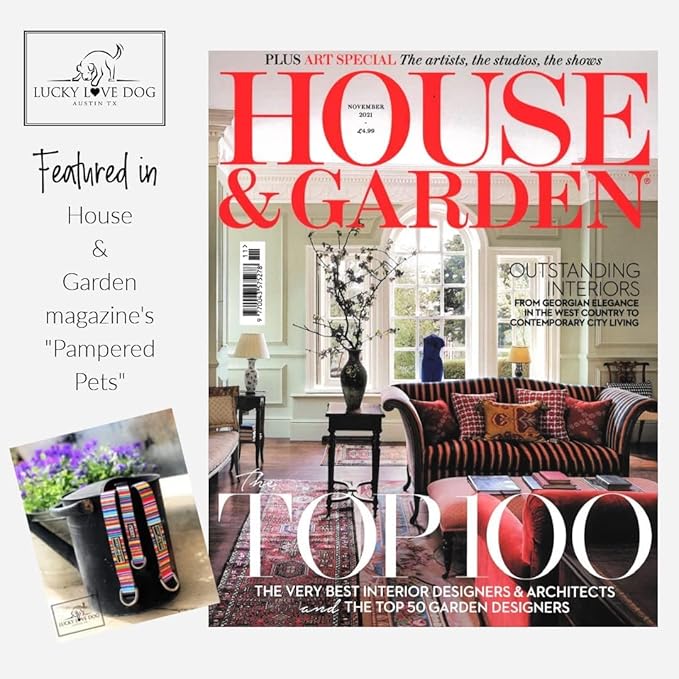 Lucky Love Dog, Adjustable Fun Style Martingale Collar for Dogs, Comfy & Bright Color, Premium No Slip Dog Collar - (Large, SOCO Mart - Combo)