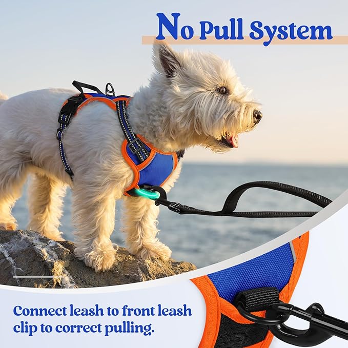 rabbitgoo Dog Harness, No-Pull Pet Harness with 2 Leash Clips, Adjustable Soft Padded Dog Vest, Reflective No-Choke Pet Oxford Vest with Easy Control Handle for Large Dogs, Blue & Orange, XS