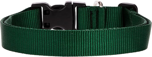 LupinePet Basics 1" Green 16-28" Adjustable Collar for Large Dogs