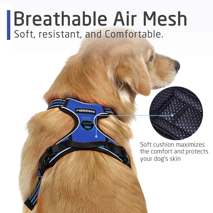 rabbitgoo Dog Harness, No-Pull Pet Harness with 2 Leash Clips, Adjustable Soft Padded Dog Vest, Reflective No-Choke Pet Oxford Vest with Easy Control Handle for Large Dogs, Dazzling Blue, L