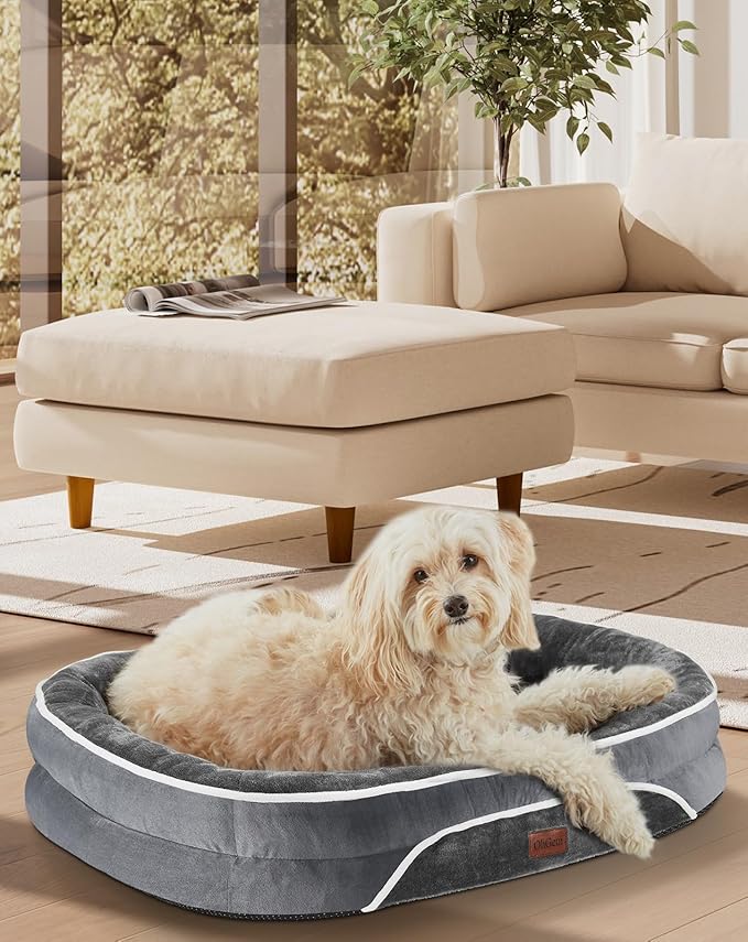 OhGeni Orthopedic Dog Bed for Medium Dogs, Dog Couch Design with Egg Foam Support, Removable, Machine Washable Plush Cover and Non-Slip Bottom with Four Sided Bolster Cushion (Gray)