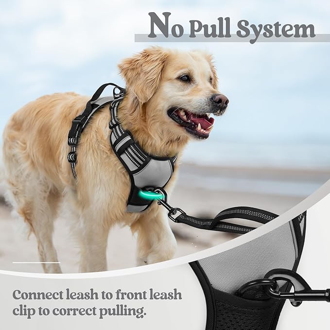 rabbitgoo Dog Harness, No-Pull Pet Harness with 2 Leash Clips, Adjustable Soft Padded Dog Vest, Reflective No-Choke Pet Oxford Vest with Easy Control Handle for Medium Dogs, Grey, M