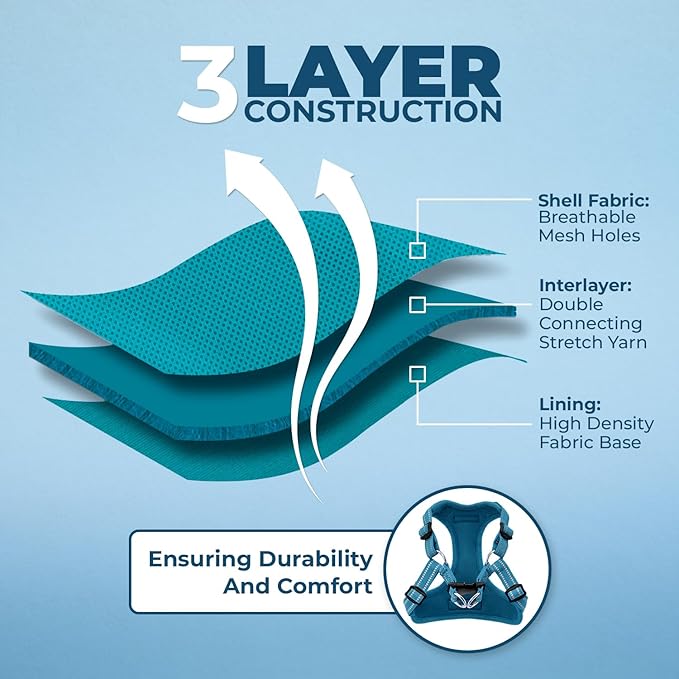 Best Pet Supplies Voyager Adjustable Dog Harness Leash Set with Reflective Stripes for Walking Heavy-Duty Full Body No Pull Vest with Leash D-Ring, Breathable All-Weather - Harness (Turquoise), M