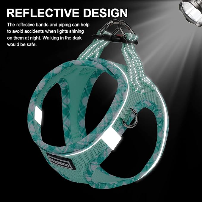 Mercano Soft Mesh Dog Harness and Leash Set, No-Chock Step-in Reflective Breathable Lightweight Easy Walk Escape Proof Vest Harnesses with Safety Buckle for Small Medium Dogs, Cats (Light Green, XL)
