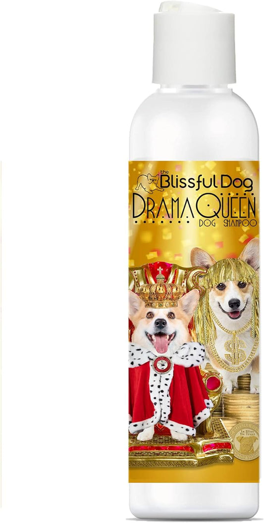 The Blissful Dog Corgi Drama Queen Dog Shampoo, 8 oz.
