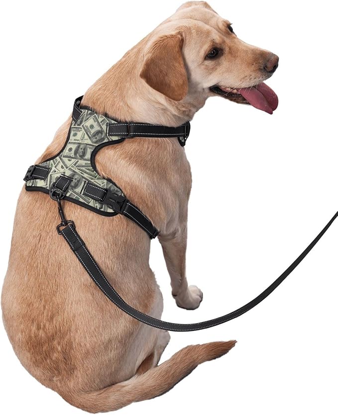 No Pull Dog Harness for Small Dogs Easy Walk Dog Vest Adjustable Collars Harnesses & Leashes Set Breathable Oxford Outdoor Walking Safety Reflective Strip Dollar Cash Prints