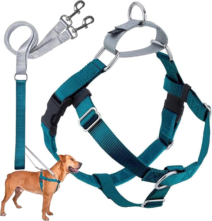 2 Hounds Design Freedom No Pull Dog Harness | Comfortable Control for Easy Walking |Adjustable Dog Harness and Leash Set | Small, Medium & Large Dogs | Made in USA | Solid Colors | 1" LG Teal