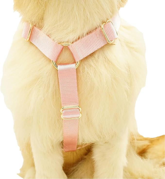 Nylon No Pull Dog Harness with Gold Metal Buckles,Easy Walking and Training Dog Harness (Pink, S)