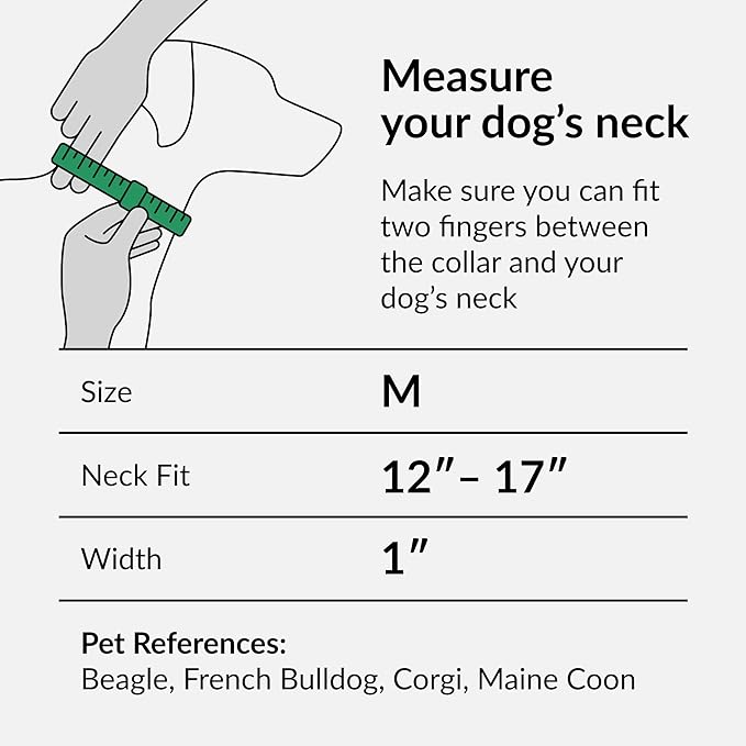 CollarDirect Martingale Collars for Dogs Heavy Duty Floral Pattern Female Safety Nylon Training Wide Collar Flower Design Large Medium (M, Neck Size 12"-17", Navy Blue)