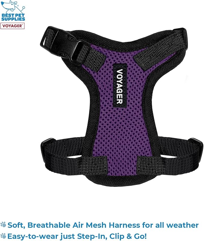 Voyager Step-in Lock Adjustable Cat Harness w. Cat Leash Combo Set with Neoprene Handle 5ft - Supports Small, Medium and Large Breed Cats by Best Pet Supplies - Purple/Black Trim, XXS