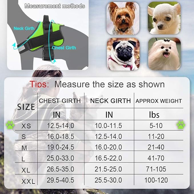 Bolux Dog Harness, No-Pull Reflective Dog Vest, Breathable Adjustable Pet Harness with Handle for Outdoor Walking - No More Pulling, Tugging or Choking (Green, XS)