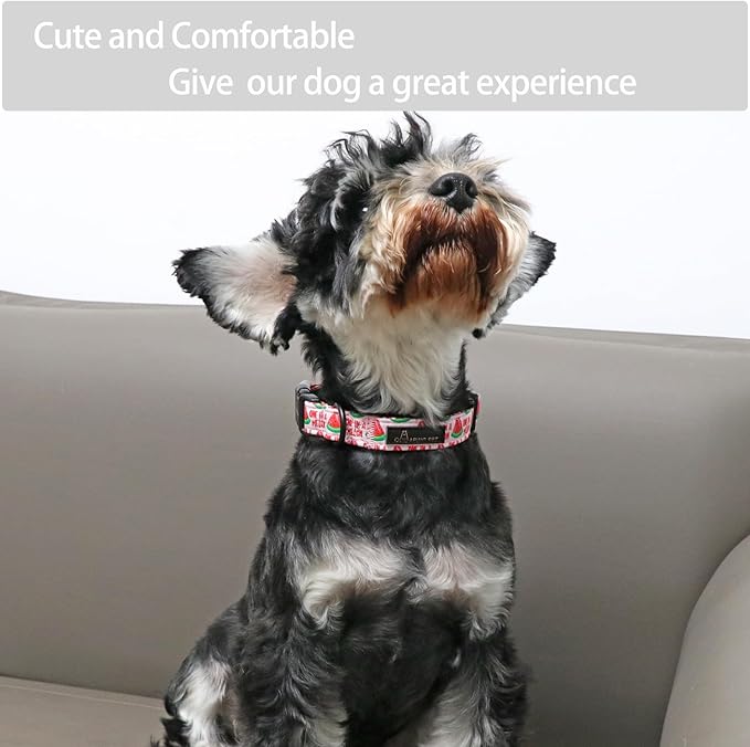 ARING PET Summer Dog Collar-Cute Watermelon Dog Collar for Small Dogs, Adjustable Soft Cotton Girl Dog Collars for Small Medium Large Dogs, Small