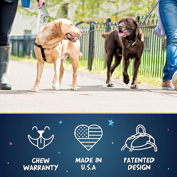 2 Hounds Design Freedom No Pull Dog Harness | Comfortable Control for Easy Walking |Adjustable Dog Harness and Leash Set | Small, Medium & Large Dogs | Made in USA | Solid Colors | 5/8" SM Raspberry