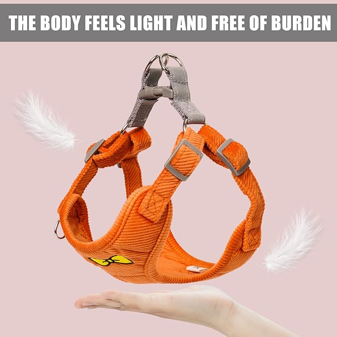 No Pull Dog Harness with Leash Pet Soft Vest Harness and Leash Set Dog Cat No Choke Escape Proof Harness Reflective Step in Harness for Small Medium Dogs Cats (Orange, Small)