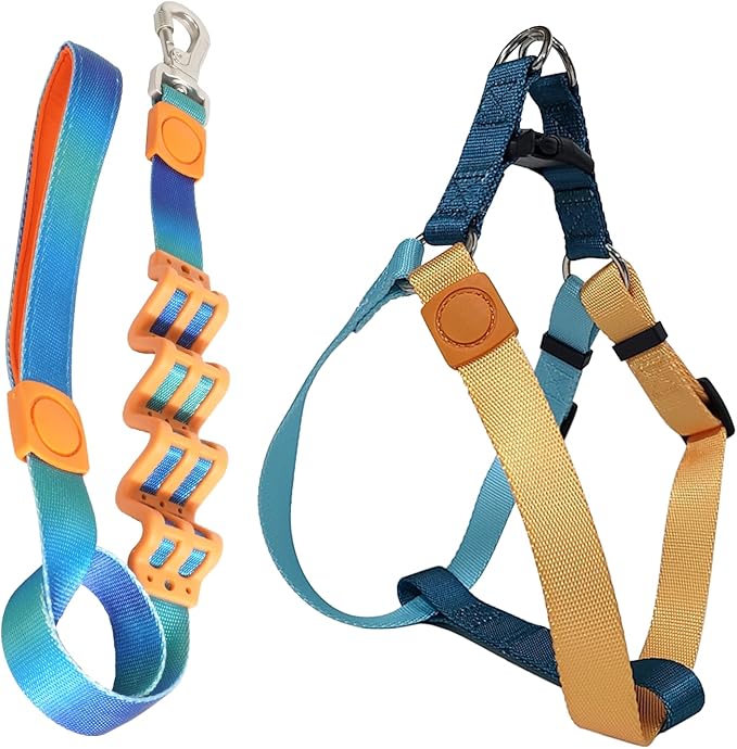 Tri-Color Dog Harness and Purple Pink Gradient Shock Absorbing Dog Leash Set,Step-in Freedom Dog Vest Harness,Strong Padded Handle to Help Stop Pulling for Midium Dog Walking and Traning