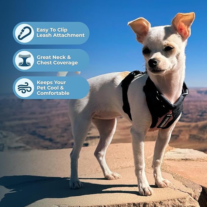 Voyager Step-in Lock Pet Harness - All Weather Mesh, Adjustable Step in Harness for Cats and Dogs by Best Pet Supplies - Pink/Black Trim, M