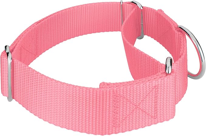 Country Brook Petz 1 1/2 Inch Martingale Heavy Duty Nylon Adjustable Dog Collar for Small, Medium, Large Breeds - Vibrant 17 Color Selection (Pink, Medium)