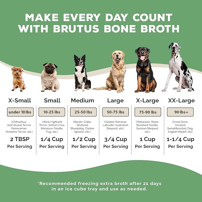 Brutus Broth Instant On The Go Vegetable Powder for Dogs - Vegetable Powder with Omegas 3, 6 & 9 & Turmeric - Human Grade Dog Food Toppers for Dry Food & Picky Eaters - 5 Stick (Salmon Flavor)