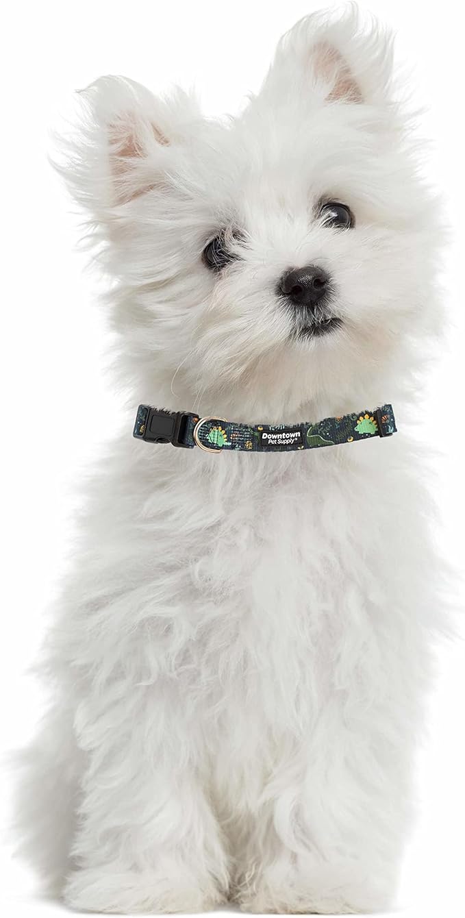 Downtown Pet Supply - Best, Cute & Fancy Dog Collar - Lightweight Adjustable Dog Collar with Quick Buckle & D-Ring - Hand Wash Safe - Dino - S - Small Dog Collar