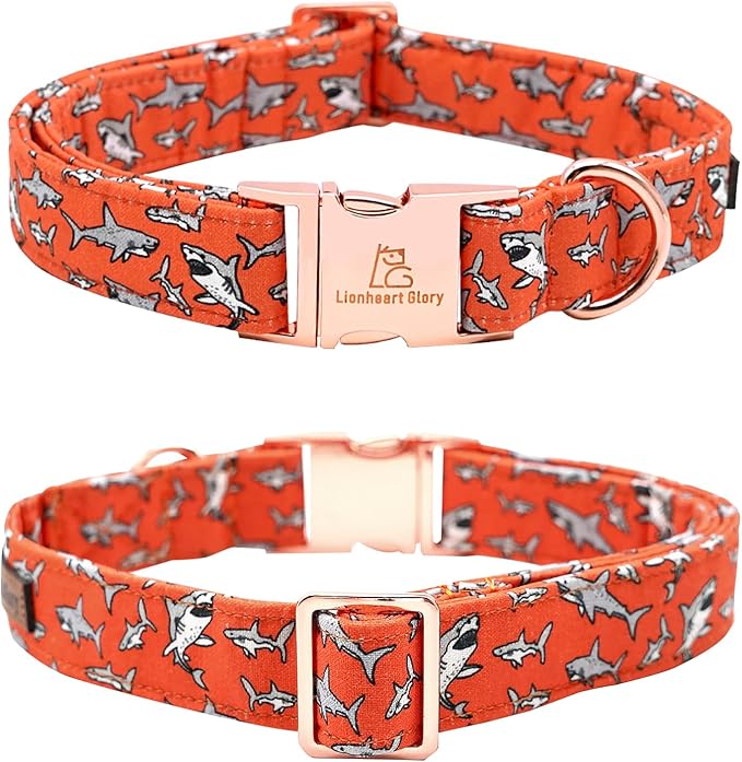 Lionheart glory Dog Collar Shark Print Dog Collar Girl or Boy Dog Collar Pet Gift Adjustable Dog Collar for Medium Dog