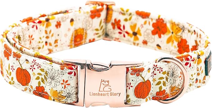 Lionheart glory Dog Collar Halloween Collar Dog Fall Dog Collars, Adjustable Heavy Duty Dog Collar for Large Dogs Pumpkin Collar Dog