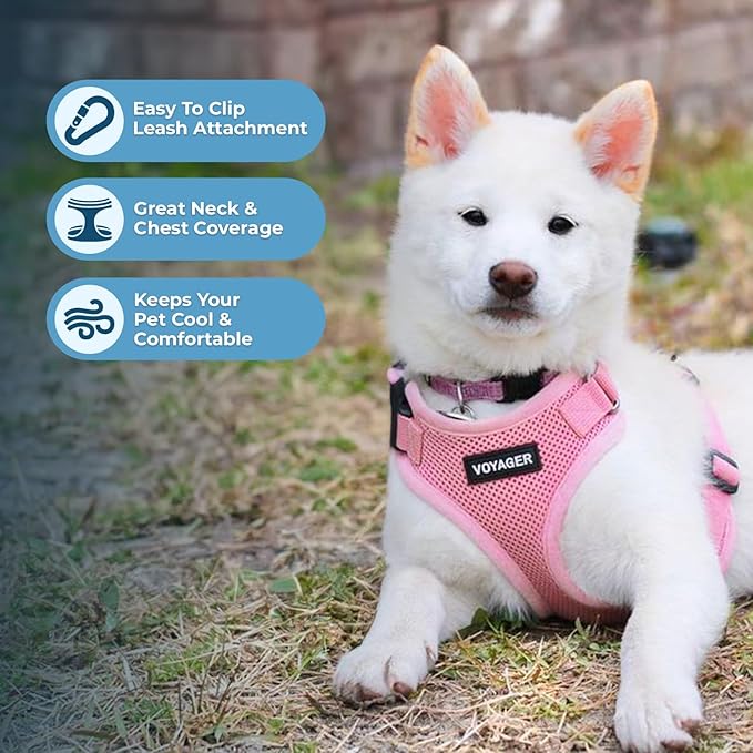 Voyager Step-in Lock Pet Harness - All Weather Mesh, Adjustable Step in Harness for Cats and Dogs by Best Pet Supplies - Pink, XS