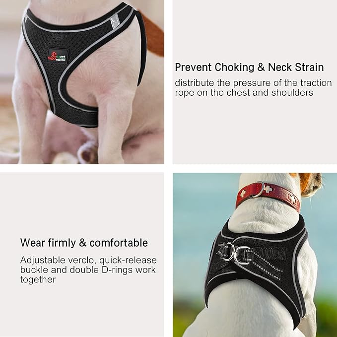 Step-in Air Dog Harness and Dog Leash- All Weather Mesh Step in Vest Harness for Small and Medium Dogs, Reflective Harness and 5FT Leash for Confident Walking at Night (Black,X-Large)