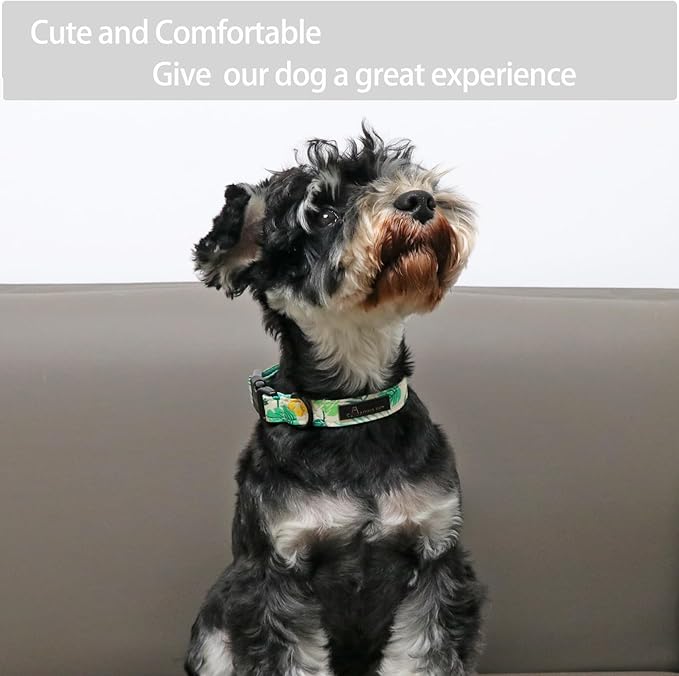 ARING PET Summer Dog Collar-Lightweight Dog Collar for Medium Dogs, Adjustable Comfortable Cotton Pet Collars for Small Medium Large Dogs, Medium