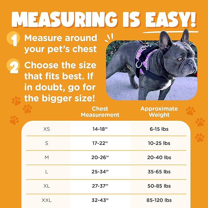 Bark Appeal Pink Camo No-Pull Dog Harness for Extra Small to Small Sized Pets – Adjustable, Reflective Vest with 3 Leash Clips for Added Control, Easy Walks & Training – Small