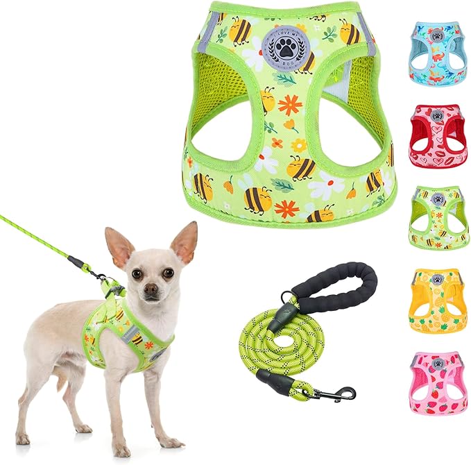 BEAUTYZOO Step in Dog Harness and Leash Set,Reflective Dog Harness No Pull No Choke Puppy Harness for Small Medium Large Dogs Cats,Soft Padded Mesh Vest Harnesses for Girl and Boy Pets, Bee XS