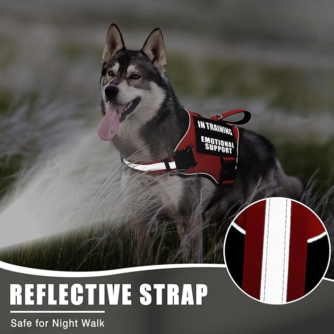 Service Dog Vest Harness+ID Tag+10 Patches,Metal Serivce Dog Tag&Reflective Emotional Support Dog Vest with Handle for Medium Dogs,Easy Put On/Off for Training/Walking/Everyday Red M