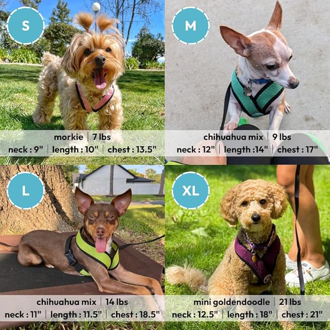 Gooby Comfort X Head In Harness - Flamingo Pink, Medium - No Pull Small Dog Harness Patented Choke-Free X Frame - On the Go Dog Harness for Medium Dogs No Pull or Small Dogs for Indoor and Outdoor Use