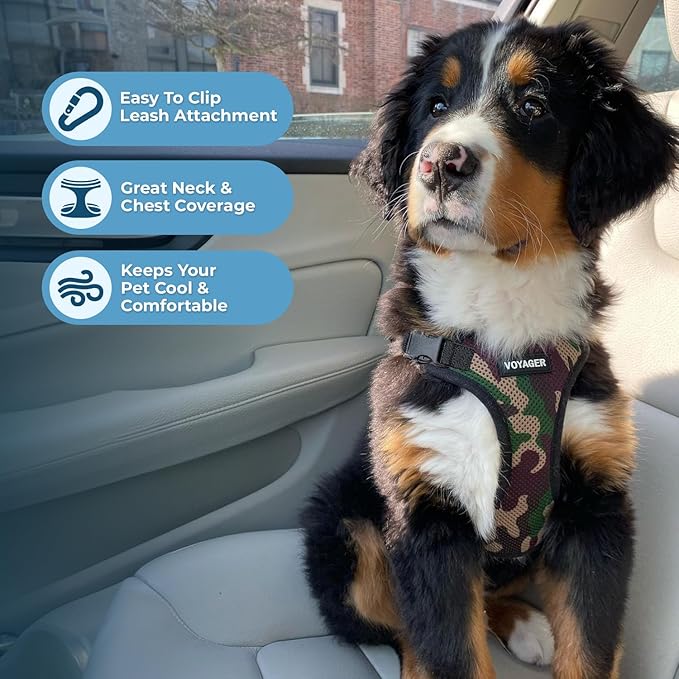 Voyager Step-in Lock Pet Harness - All Weather Mesh, Adjustable Step in Harness for Cats and Dogs by Best Pet Supplies - Army/Black Trim, XS