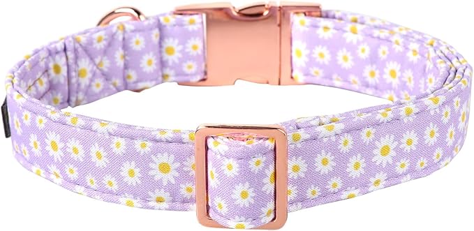 Lionet Paws Dog Collar, Comfortable Adjustable Cute Collar with Metal Buckle for Male Female Puppies Gift, Purple Daisy, XS, Neck 8-12 inches
