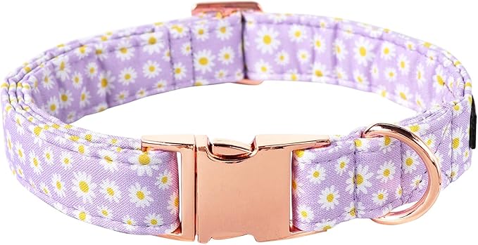 Lionet Paws Dog Collar, Comfortable Adjustable Cute Collar with Metal Buckle for Male Female Puppies Gift, Purple Daisy, XS, Neck 8-12 inches