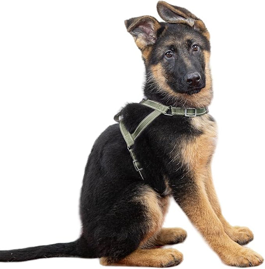 SATSUN Dog Harness Medium Sized Dog, No Pull Dog Harness with 2 Adjustable Points & 1 Leash Clip, Reflective Comfortable Dog Vest with Easy Control Handle Ideal for Walking and Training, Army Green,M