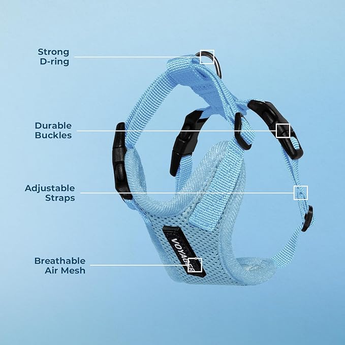Voyager Step-in Lock Pet Harness - All Weather Mesh, Adjustable Step in Harness for Cats and Dogs by Best Pet Supplies - Baby Blue, XL