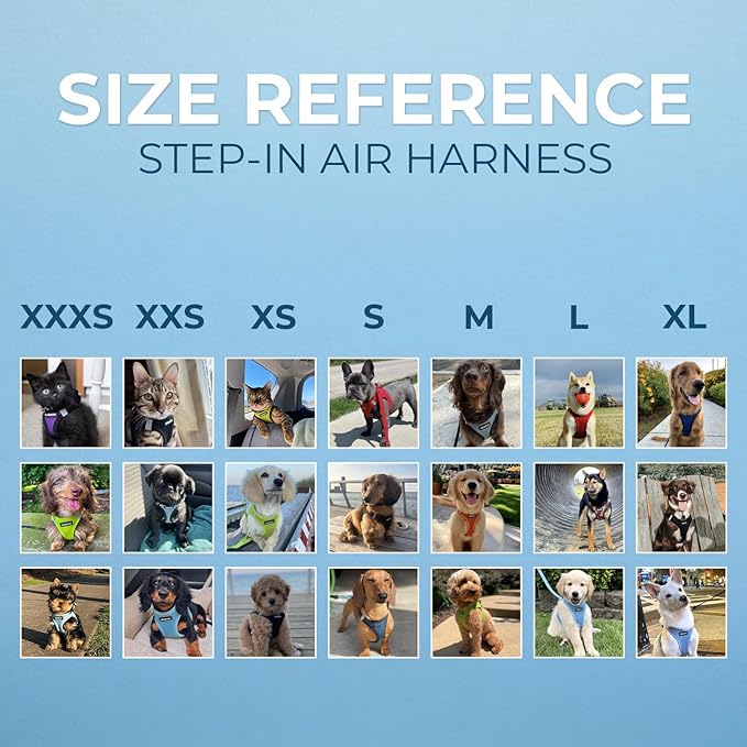 Voyager Step-In Air Dog Harness - All Weather Mesh, Reflective, No Pull Harness for Small, Medium Dogs, Cats - Secure with Hook & Loop Fastener, Buckle, Double D-Rings - Blue/Black Trim, XXS