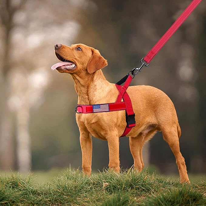 Annchwool No Pull Dog Harness with Padded Handle+5 Ft Leash,Reflective Strip Escape Proof and Quick Fit to Adjust Dog Harness,Easy for Training Walking for Small & Medium and Large Dog(Red-Set,S)
